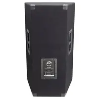 Акустическая система с защитой динамиков Peavey PV 115