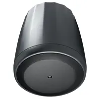 Подвесной громкоговоритель JBL Control 65P/T