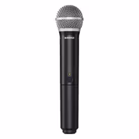 Радиосистема Shure BLX24RE/PG58-R12