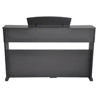 Цифровое пианино Artesia DP-3+ PVC RSW