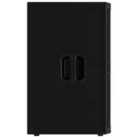 Акустическая система Mackie DRM215-P