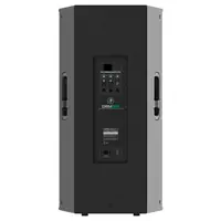 Акустическая система Mackie DRM315-P