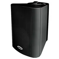 Настенный громкоговоритель DSPPA WL313B