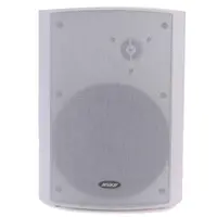 Настенный громкоговоритель DSPPA WL313W