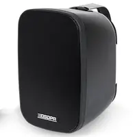 Настенный громкоговоритель DSPPA DSP5040B