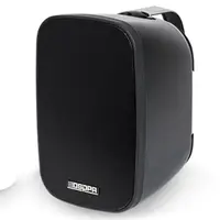 Настенный громкоговоритель DSPPA DSP5050B