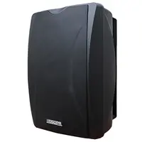 Настенный активный громкоговоритель DSPPA DSP6606B