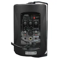 Настенный активный громкоговоритель DSPPA DSP6606B