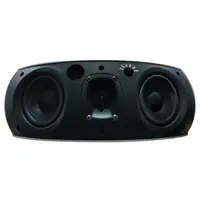 Настенный громкоговоритель DSPPA DSP218B