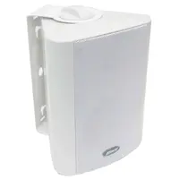 Настенный громкоговоритель DSPPA WL312W