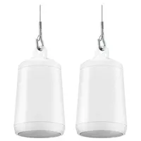 Подвесная акустическая система Electro-Voice EVID-P2.1