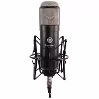 Студийный микрофон Townsend Labs Sphere L22