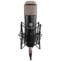 Студийный микрофон Townsend Labs Sphere L22