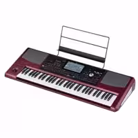 KORG PA1000