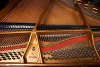 Steinway & Sons S-155