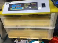 Автоматический инкубатор для яиц (2 этажа) HHD 112. Цыплята, перепела.