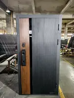 Двери входные  | железные | сальные | металлические