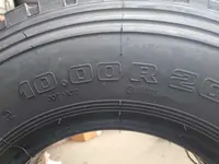 10.00 R20-18 PR TR668 149/146L TRIANGLE, в рассрочку