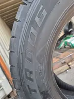 295/60R22.5-18PR Triangle TRD06 150/147, на ведущую ось, в рассрочку