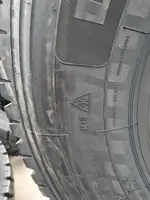 315/80 R22.5 -22 PR BLACKLION (қара арыстан, черный лев) BD210