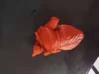 Сердце из пластика напечатаное на 3д приниере