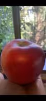 Apples