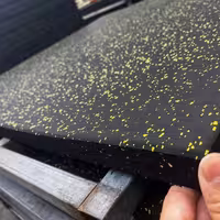 Резиновая плитка с EPDM крошкой 15 и 20 мм (Собственное производство)