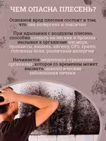 Уничтожитель плесени 8в1 GOODHIM 5л Доставка по Астане и РК Нажимайте!