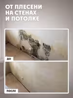 Уничтожитель плесени 8в1 GOODHIM 5л Доставка по Астане и РК Нажимайте!