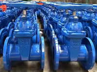 Чугунные задвижки DN 50, 80, 100, 125, 150, 200