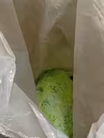 Никель сернокислый (сульфат никеля), Хлорид никеля(II)