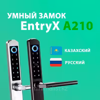 Электронный замок EntryX A210