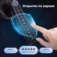 Электронный замок EntryX F1